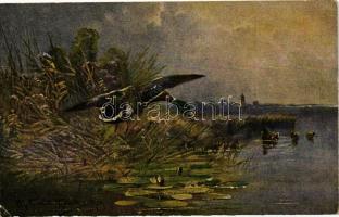 Wild duck in the marsh, Hans Kohler & Co. Serie 585,12 Jagdbilder, s: M. Müller jr. (EK)