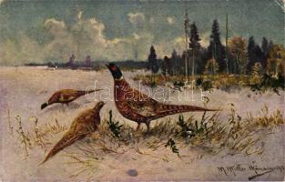 Pheasants in the field, Hans Kohler & Co. Serie 585. 12 Jagdbilder, s: M. Müller jr. (EK)