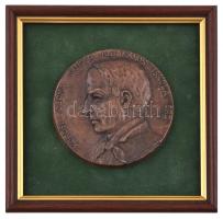 Domonkos Béla (1934-) DN "Kőrösi Csoma Sándor Általános Iskola Érd" Br emlékplakett képkeretben (keret nélkül 96mm) T:2