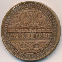 Lisztes István (1942-) 1973. "MÉE - Jászberényi Csoport / Pest-Buda-Óbuda egyesítésének századik évfordulójára" Br emlékérem (42,5mm) T:2