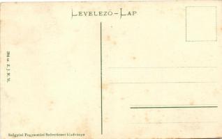 Szőgyén, Svodín; Szent Mihály templom, katolikus nagytemplom / churches, Art Nouveau