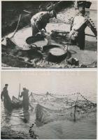 cca 1950 Halászat nagyméretű halászhálóval, 4 db jelzetlen fotó, 13x19 cm