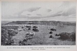 Cholnoky Jenő: A Föld és élete I-V. kötet.Gazdag képanyaggal. Egységes, kiadói egészvászon kötésben,...