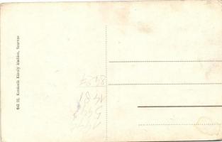 Szarvas, Gróf Bolza kastélyok; Ifj. Kovácsik Károly kiadása