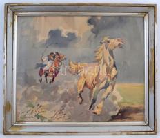 Olvashatatlan jelzéssel: Csikós. Akvarell, papír, üvegezett keretben, 40×50 cm