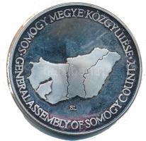 DN "Somogy Megye Közgyűlése / Somogy megye" ezüstözött fém emlékérem dísztokban. Szign.: B...