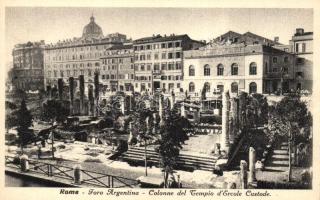 Rome, Roma; Foro Argentina, Colonne del Tempio d'Ercole Custode / square, temple