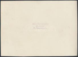 cca 1933 Szöllősy Kálmán (1887-1976): Szélben hajladozva, pecséttel jelzett vintage fotó Szentpál Ol...