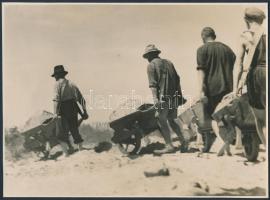 cca 1925 Hegyey Tibor pecséttel jelzett vintage fotóművészeti alkotása, kisebb felületi sérüléssel, 18x24 cm