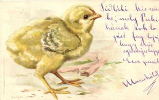 1899 Chicken, Wezel & Neumann Serie 17 No. 12, litho (small tear)