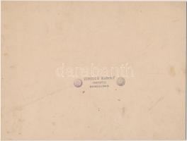 cca 1890 Pécs, Vidám hangulat Zureich Károly fényképész műtermében, pecséttel jelzett, kartonra raga...