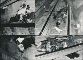 1991 Budapest, halálos baleset helyszíni fotói a Kálvin téri metró állomáson, 5 db vintage fénykép, feliratozva, 13x18 cm