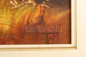 Tóth Gábor (1967-): Tisza. Olaj, vászon, jelzett keretben, 20×45 cm