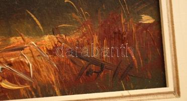 Tóth Gábor (1967-): Nyár. Olaj, farost, jelzett keretben, 20×45 cm