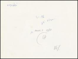 cca 1991 Pólya Z.: II. János Pál pápa a golyóálló autóban, feliratozott fotó, 18x24 cm