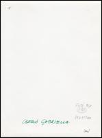 cca 1990 Csoszó Gabriella feliratozott vintage fotóművészeti alkotása, 24x18 cm