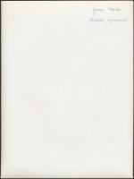 cca 1975 Gervai Tamás: Mohácsi impressziók, aláírt vintage fotóművészeti alkotás, 24x18 cm