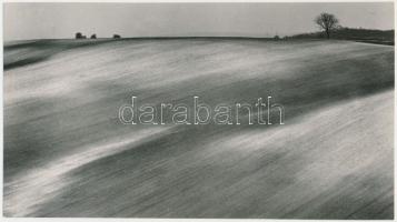 cca 1975 Zsigri Oszkár (1933-?): Táj fával, feliratozott vintage fotóművészeti alkotás, 13x24 cm