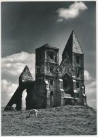 cca 1970 Zsámbéki kecske, Gebhardt György (1910-1993) jelzés nélküli vintage fotóművészeti alkotása, a szerző hagyatékából, 24x17 cm