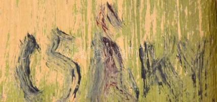 Csáky Lajos(1950-): Felhők, fák, érzések. Olaj, farost, fa keretben, jelzett, 70×50 cm