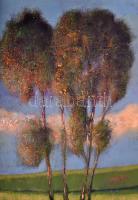 Csáky Lajos(1950-): Felhők, fák, érzések. Olaj, farost, fa keretben, jelzett, 70×50 cm