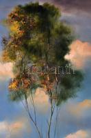 Csáky Lajos(1950-): Jelenetek a felhők, fák életéből III. Olaj, farost, fa keretben, jelzett, 80×40 ...