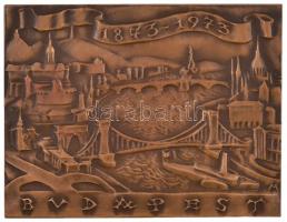 Madarassy Walter (1909-1994) 1973. "Budapest 1873-1973" Br emlékplakett eredeti tokban (10...