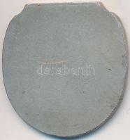 1943. "Magyar Úszóegyesület 50 éve 1893-1943" ezüstözött Br emlékplakett (32,5x30,5mm) T:2