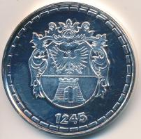 DN "Nagykanizsa, régiók kapuja" ezüstözött fém emlékérem (42,5mm) T:PP ujjlenyomatos, kis ...