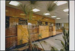 1981 Budapest, Martos Flóra u. 1. Gyógyszertár kívül-belül, 7 db korabeli 6x7-es professzionális neg...