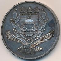 DN "Magyar Honvédség Szárazföldi Vezérkar Székesfehérvár" ezüstözött Br emlékérem (42,5mm)...