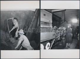 1962 Eger, Dohánygyár, Kotnyek Antal (1921-1990) képriportja, 12 db negatívjáról készített modern na...