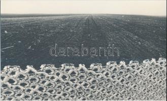 cca 1980 Mezőgazdasági táj, vintage fotó jelzés nélkül, 18x30 cm