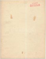 cca 1925 L'art fotó és festészeti szalon színezett műtermi fotója egy merész fellépő ruháról, p...