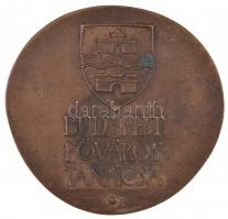 Asszonyi Tamás (1942-) DN "Budapest Főváros Tanácsa" öntött Br plakett mesterjegy nélkül (...