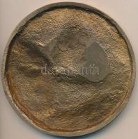 Nagy Mikós (1942-) DN "Vár" egyoldalas Br plakett (108mm) T:2