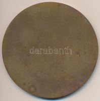 Bajnok Béla (1937-) DN "Heves Megyei Állami Építőipari Vállalat" egyoldalas Br érem (92mm)...