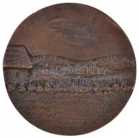 DN "Zalakaros községért" kétoldalas Br érem (99,5mm) T:2 kis ph