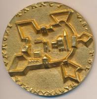 Boldogfai Farkas Sándor (1907-1970) / Vidéky Brigitta (1911-) DN" Társadalmi Munkáért / Nagykan...