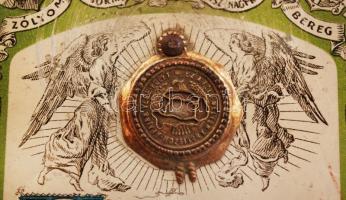 cca 1922 Országos Magyar Hadimúzeum Egyesület által tanúsított,  sorszámozott, névre szóló Nemzeti E...