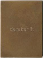 Iván István (1905-1968) DN "Csepel Vas- és Fémművek Alapítva 1893" Br emlékplakett (60x45m...