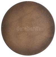 Cyránszki Mária (1940-) 1973. "IX. Nyári Úttörő Olimpia Dunaújváros" Br emlékérem (60mm) T...