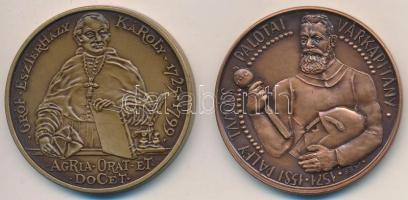 Buda István (1952-) 1987. "MÉE Budapest - Pálfy Tamás Palotai Várkapitány" Br emlékérem (4...