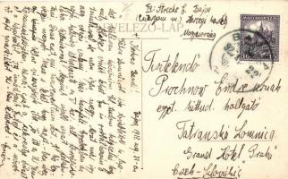 Bajna, Herceg Metternich-kastély