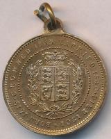 Nagy-Britannia DN "Viktória" Cu medál (24mm) T:2
Great Britain ND "Victoria" Cu...