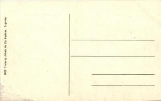 Fogaras, Fagaras; Közkórház; Fleissig Jakab és fia kiadása / hospital