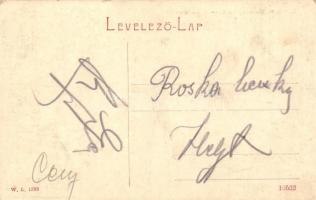 Marosújvár, Ocna Mures; Mikó utca, Füssy J. üzlete W. L. 1593 / street, shop