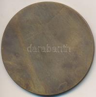 1998. "Kandó Főiskola Centenárium" egyoldalas Br érem (61mm) T:2