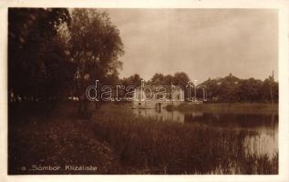 Zombor, Sombor; tó, jégpálya épülete / lake, ice skating building