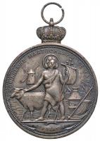 Belgium 1958. "Antwerpeni Kövér Marha Verseny" ezüstözött Br kiállítási emlékérem (53mm) T:2,2- Belgium 1958. "Competition of Fat Cattle, Antwerpen" silver plated Br medal (53mm) C:XF,VF